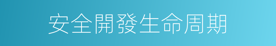 安全開發生命周期的同義詞