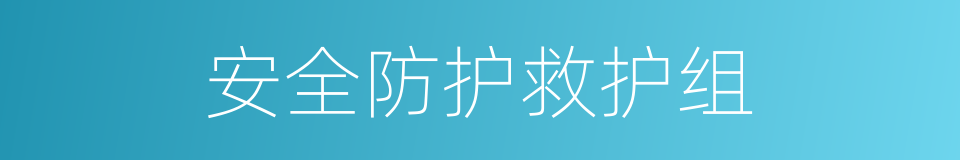 安全防护救护组的同义词