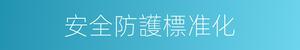 安全防護標准化的同義詞