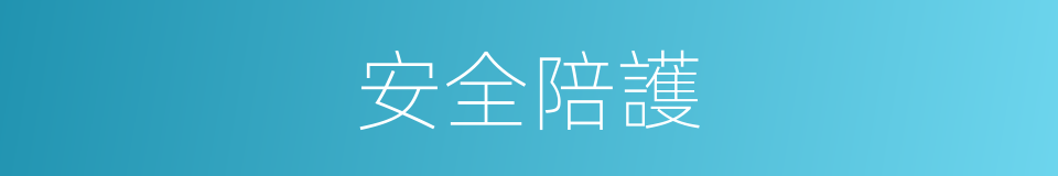 安全陪護的同義詞