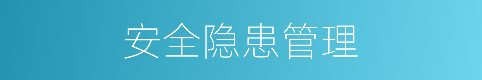 安全隐患管理的同义词