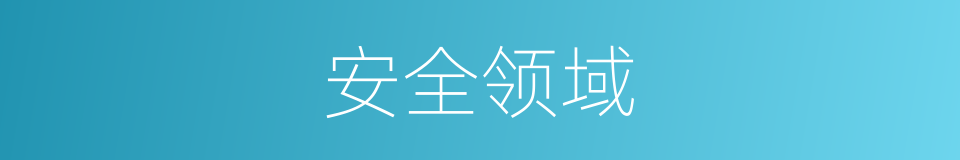 安全领域的同义词