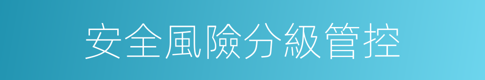 安全風險分級管控的同義詞
