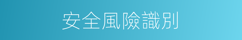 安全風險識別的同義詞