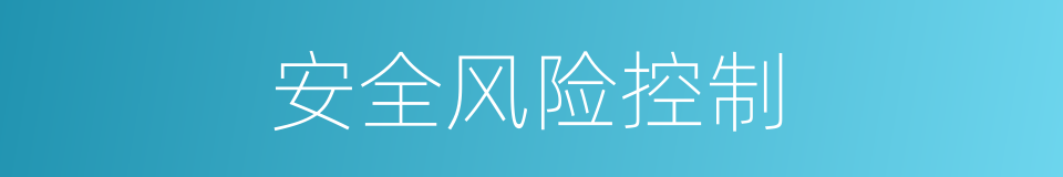 安全风险控制的同义词