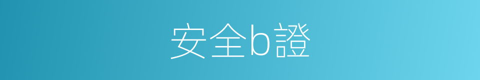安全b證的同義詞