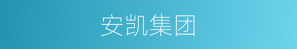 安凯集团的同义词