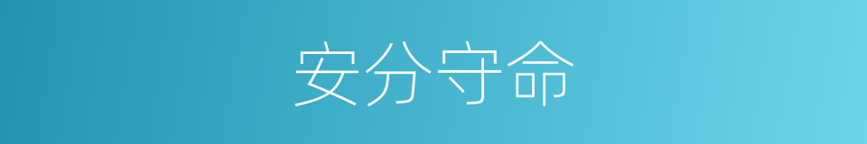 安分守命的意思