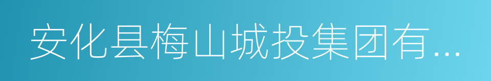 安化县梅山城投集团有限公司的同义词