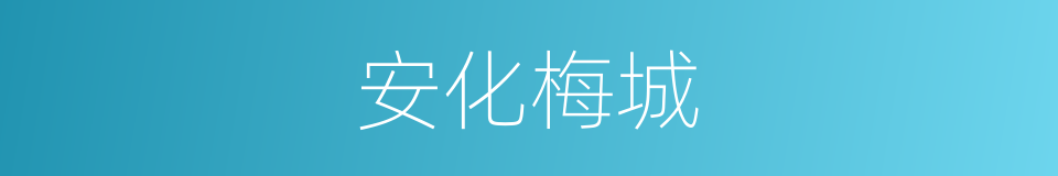 安化梅城的同义词