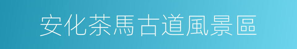 安化茶馬古道風景區的同義詞