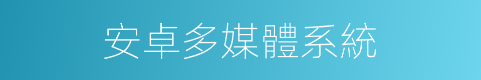 安卓多媒體系統的同義詞