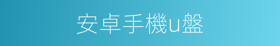 安卓手機u盤的同義詞