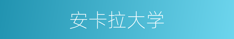 安卡拉大学的同义词