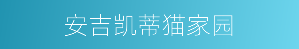 安吉凯蒂猫家园的同义词