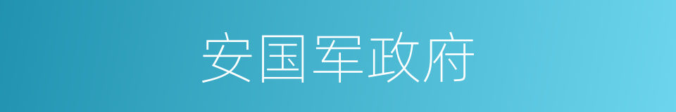 安国军政府的同义词