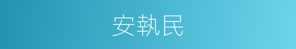 安執民的同義詞