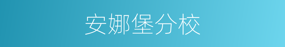 安娜堡分校的同义词