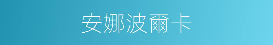 安娜波爾卡的同義詞