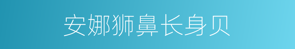 安娜狮鼻长身贝的同义词