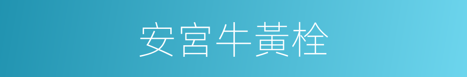 安宮牛黃栓的同義詞