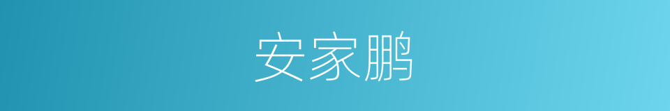 安家鹏的同义词