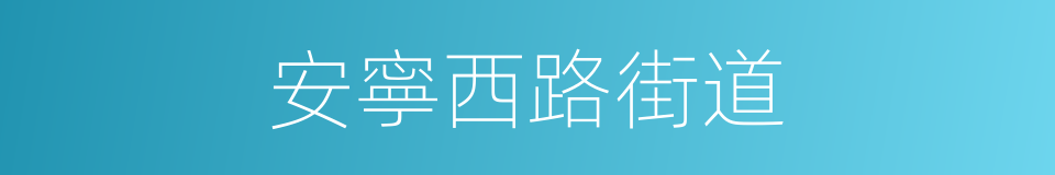 安寧西路街道的同義詞