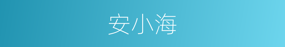 安小海的同义词