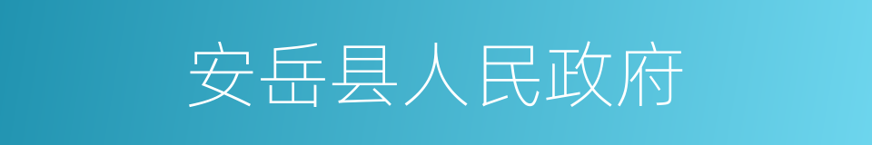 安岳县人民政府的同义词