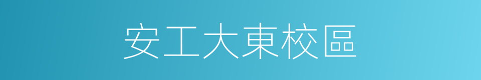 安工大東校區的同義詞