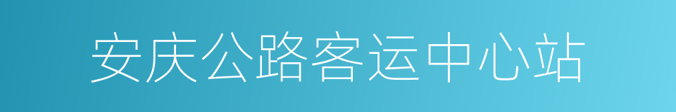 安庆公路客运中心站的同义词