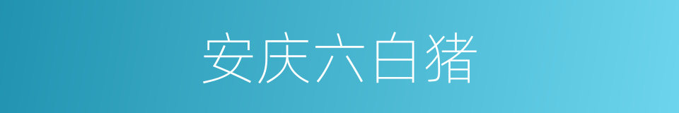 安庆六白猪的同义词