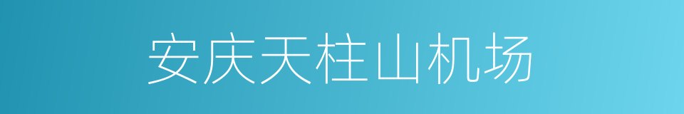 安庆天柱山机场的同义词