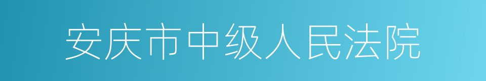 安庆市中级人民法院的同义词