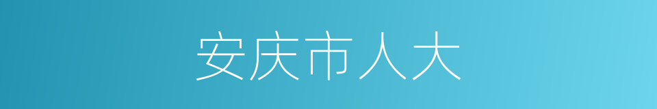 安庆市人大的同义词