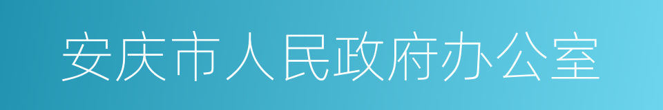 安庆市人民政府办公室的同义词