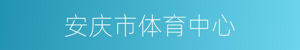 安庆市体育中心的同义词