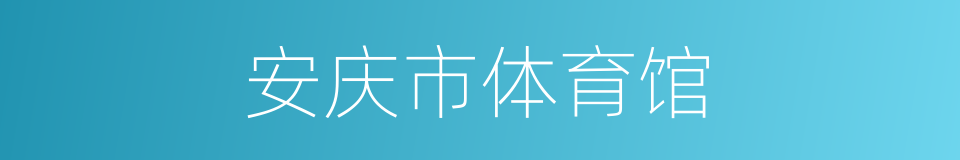 安庆市体育馆的同义词
