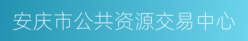 安庆市公共资源交易中心的同义词