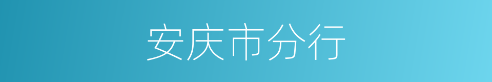 安庆市分行的同义词