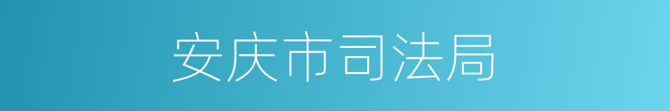 安庆市司法局的同义词