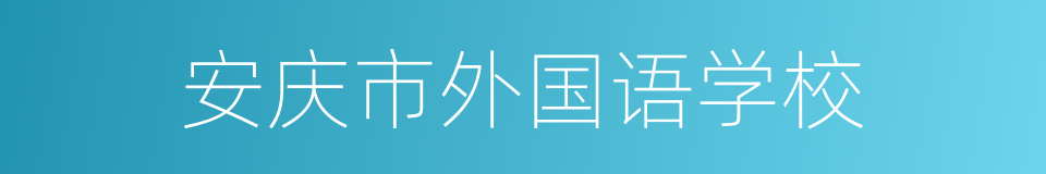 安庆市外国语学校的同义词