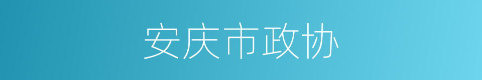 安庆市政协的同义词