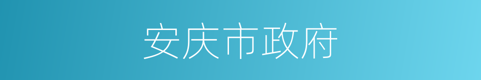 安庆市政府的同义词