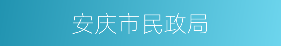 安庆市民政局的同义词