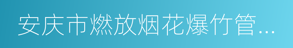 安庆市燃放烟花爆竹管理条例的同义词