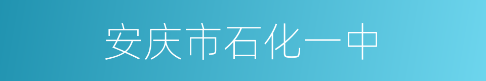 安庆市石化一中的同义词