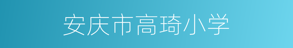 安庆市高琦小学的同义词