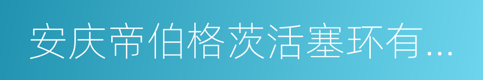 安庆帝伯格茨活塞环有限公司的同义词