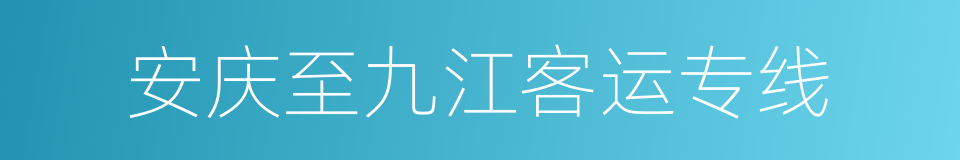 安庆至九江客运专线的同义词